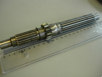 66611-14412.arbreprim.3