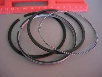 15531-21050.Segments.3